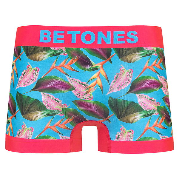 BOTANICAL2-PINK (Men)