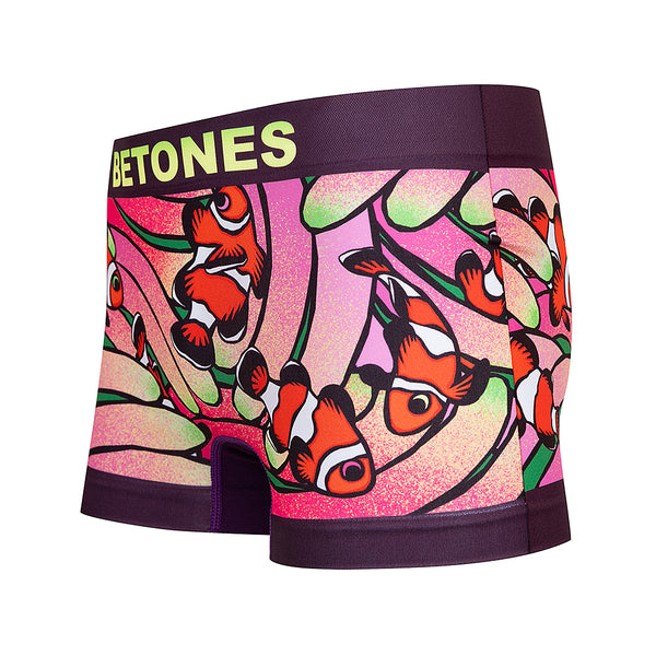 SEE BEE PURPLE (Men)